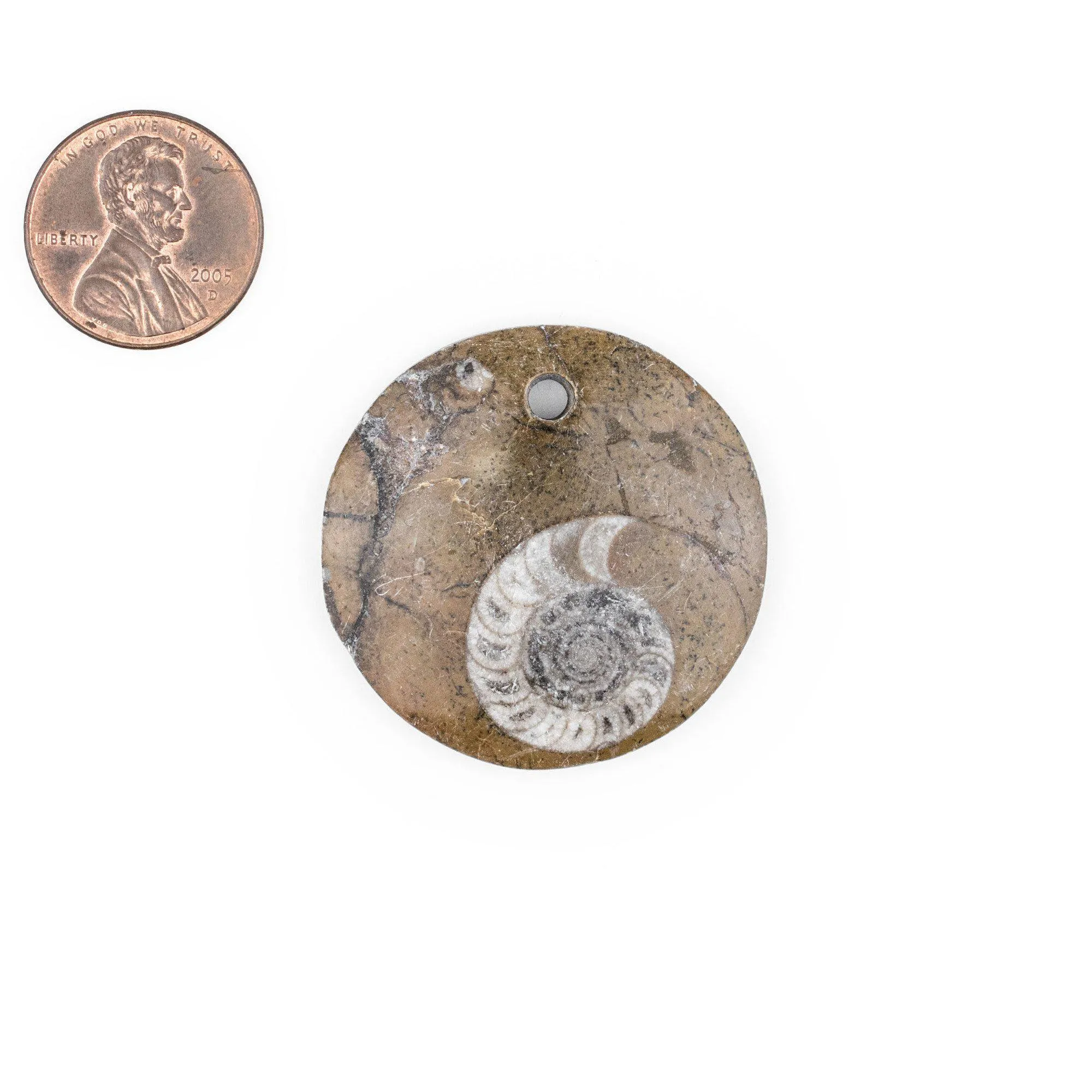 Ammonite Moroccan Fossil Pendant