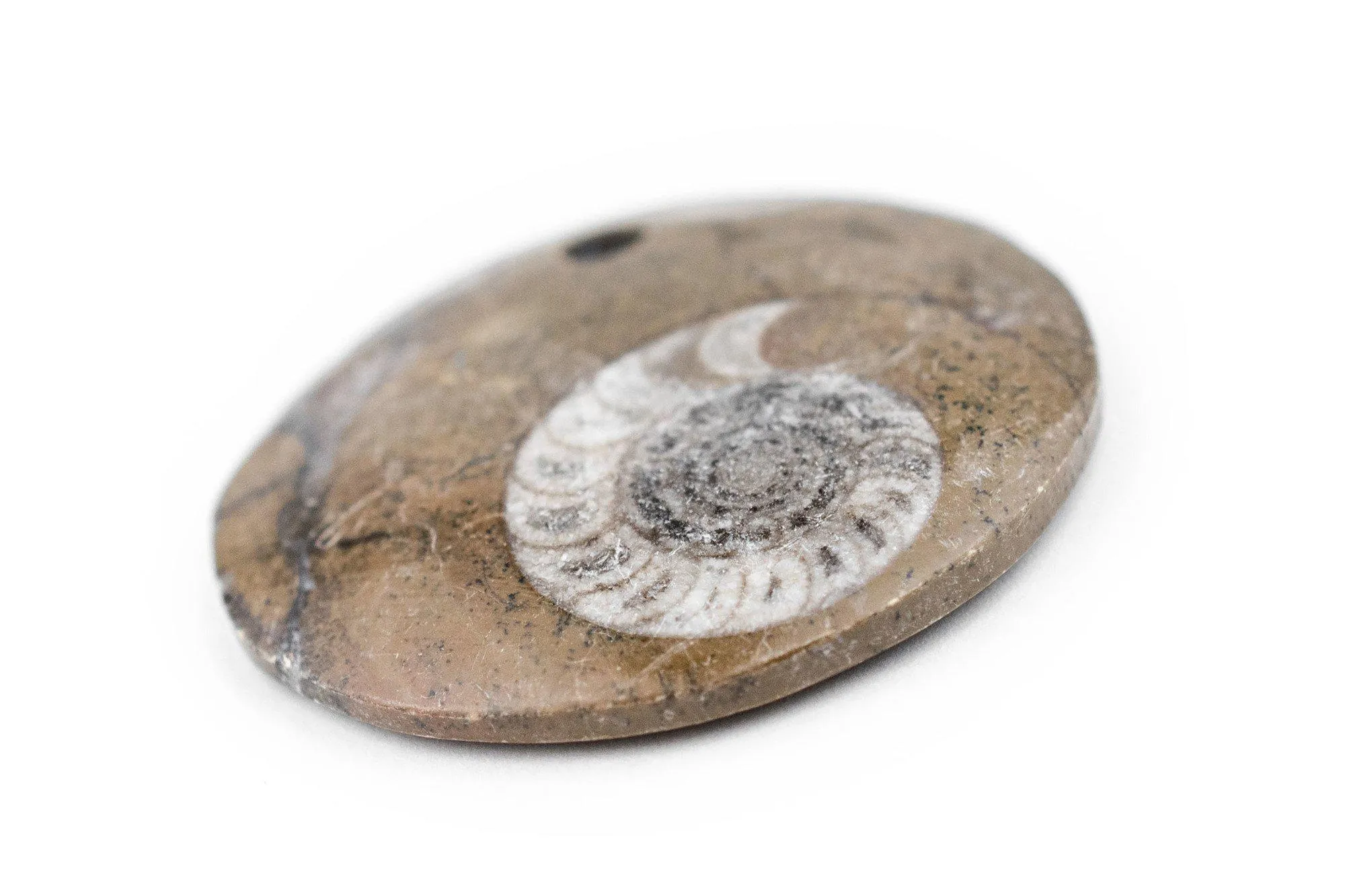 Ammonite Moroccan Fossil Pendant