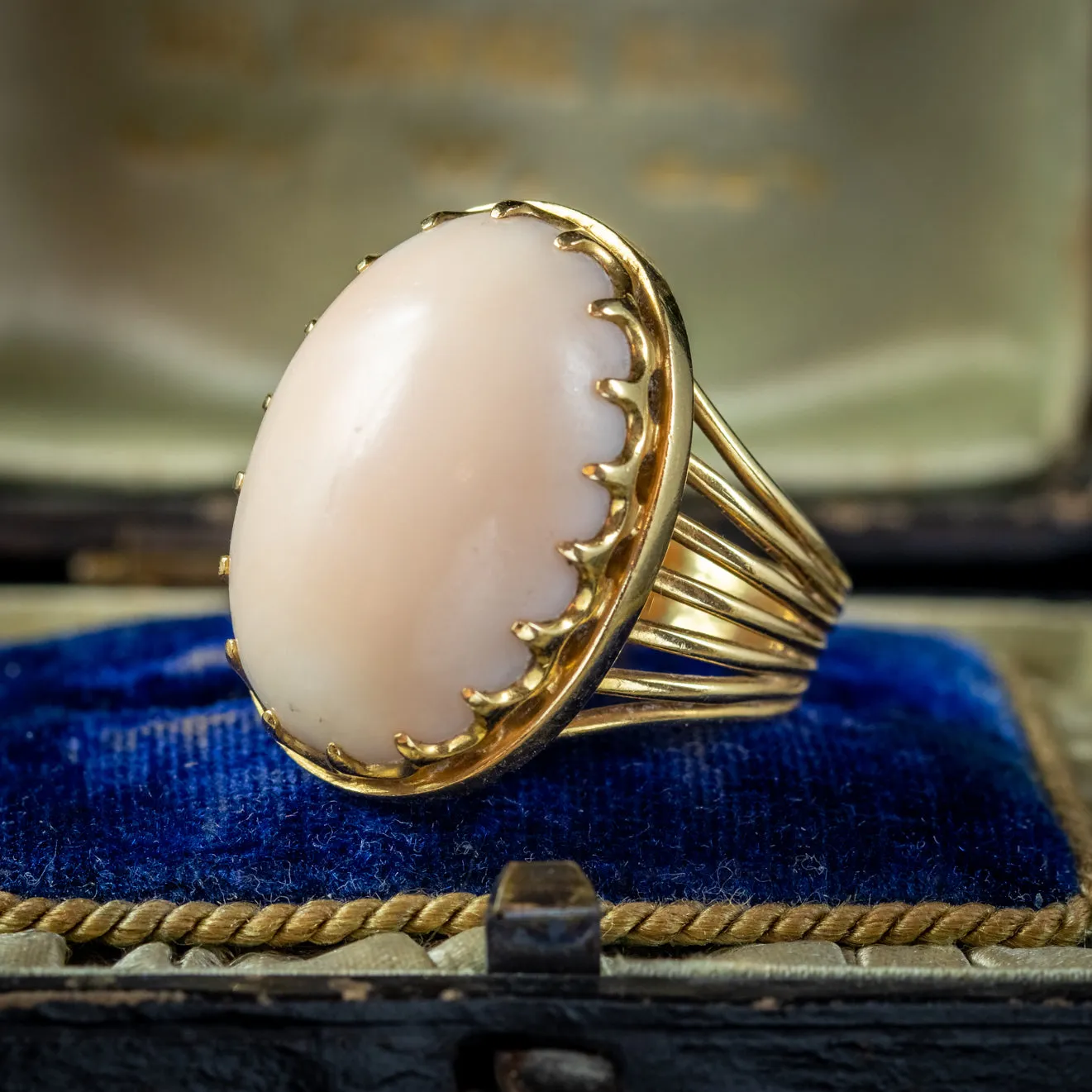 Antique Victorian Angel Skin Coral Ring 18ct Gold Circa 1880