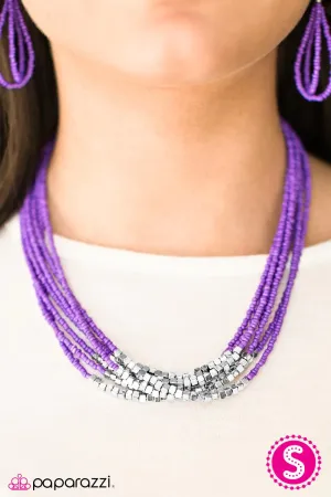 Paparazzi Necklace ~ Crash The Party - Purple