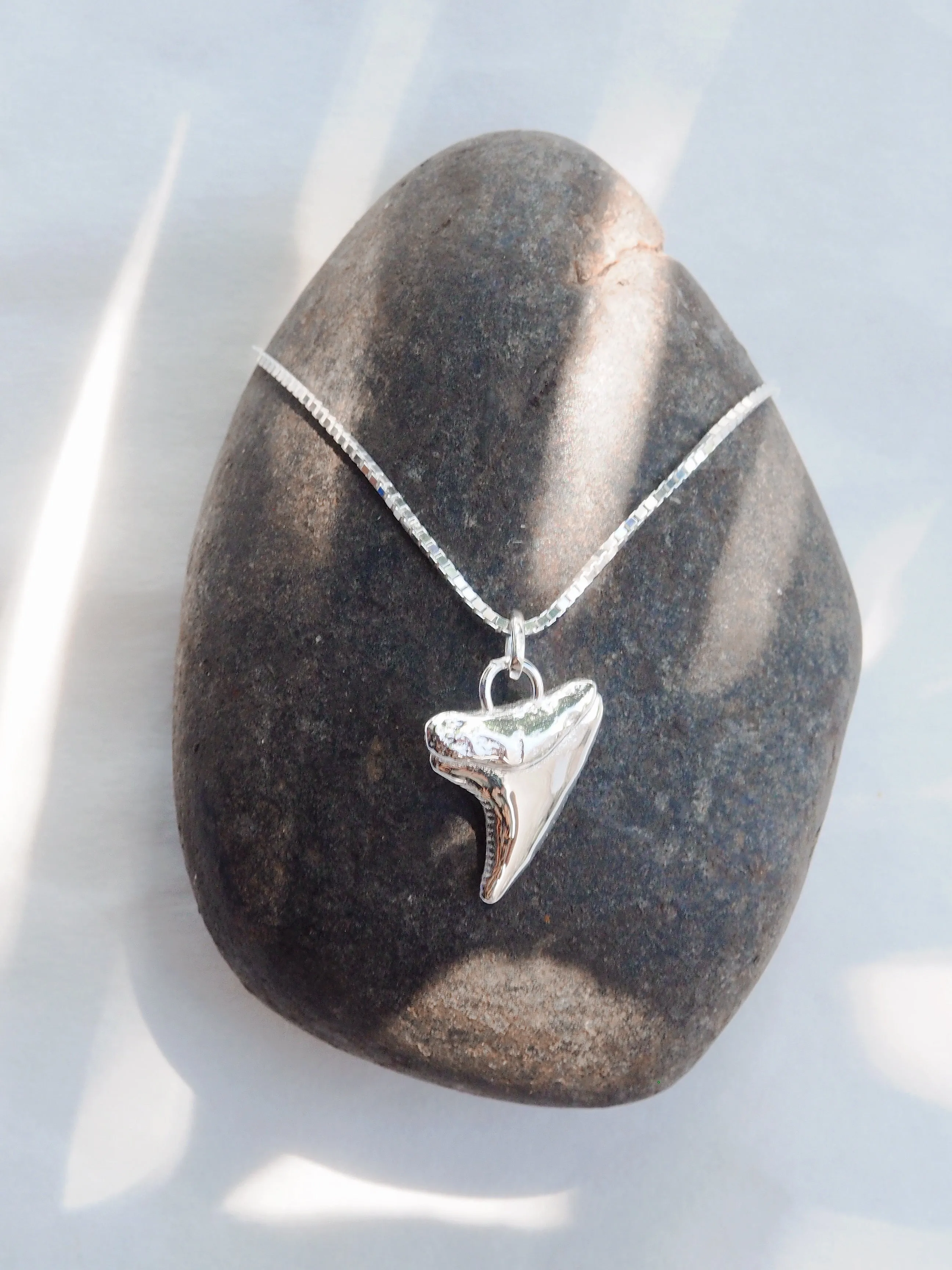 Silver Shark Tooth Necklace - Mano