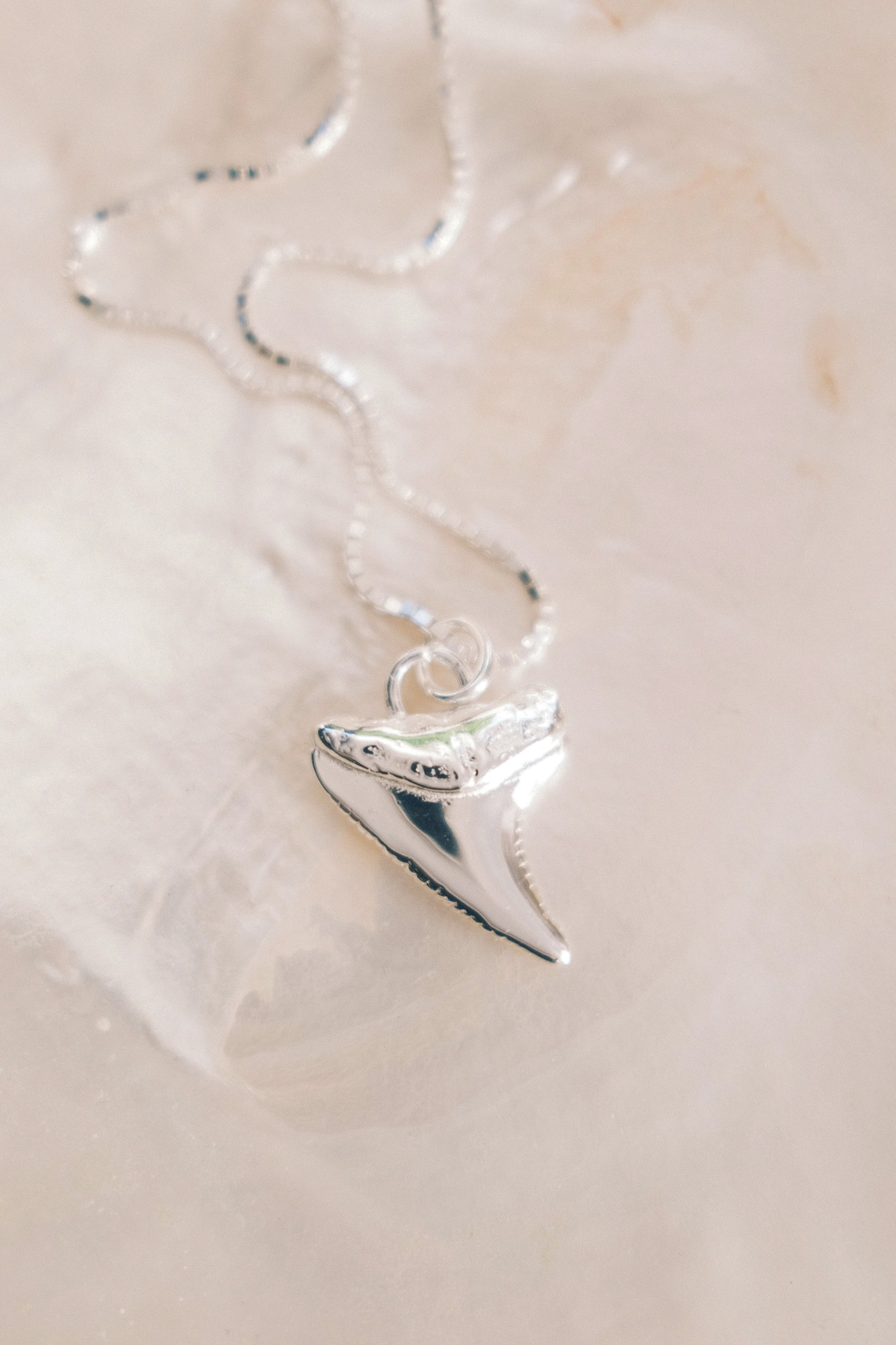 Silver Shark Tooth Necklace - Mano