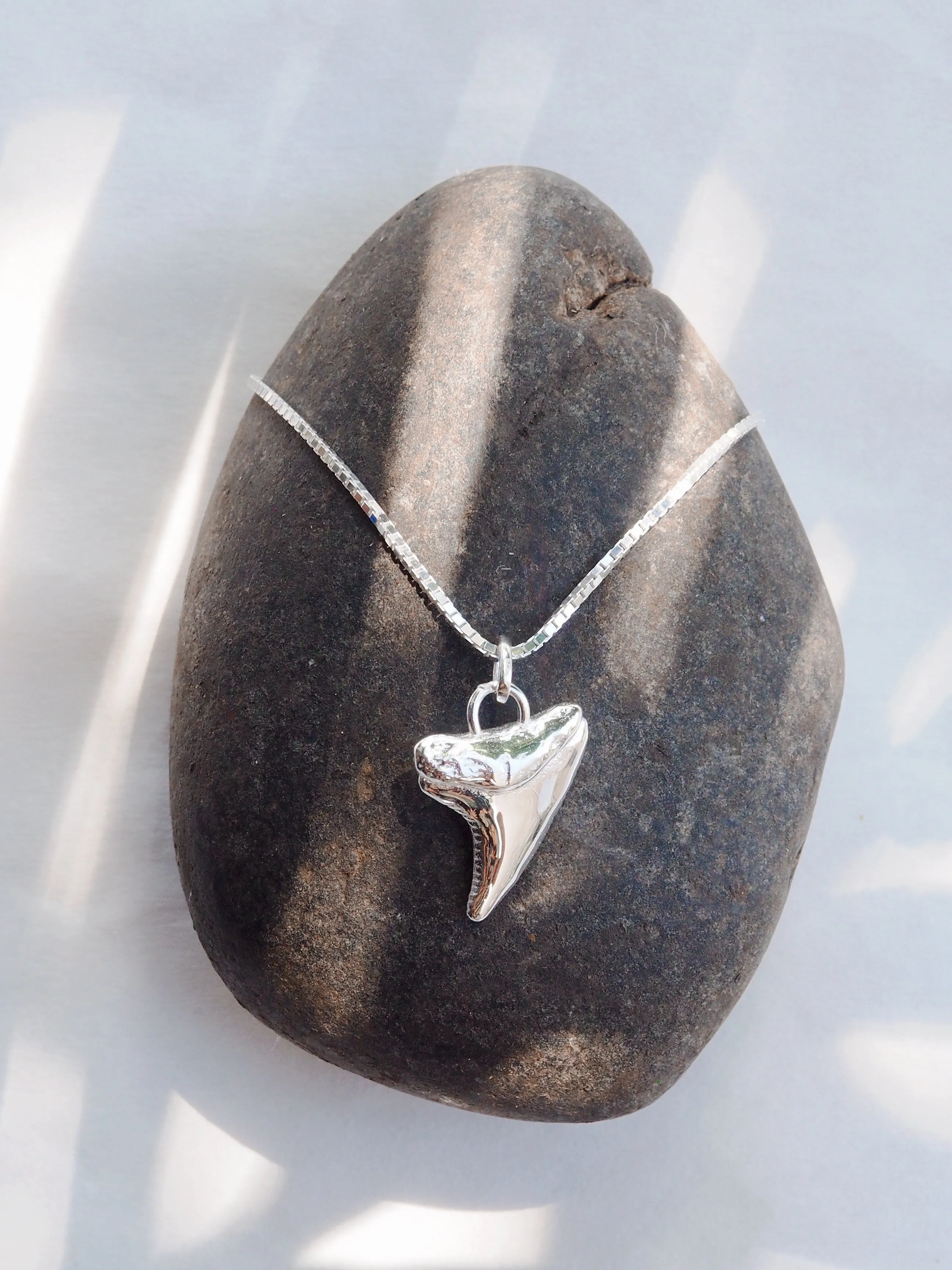 Silver Shark Tooth Necklace - Mano